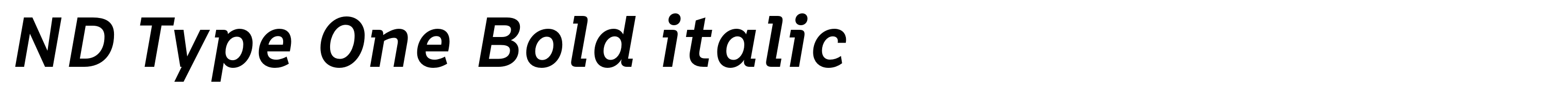 ND Type One Bold italic